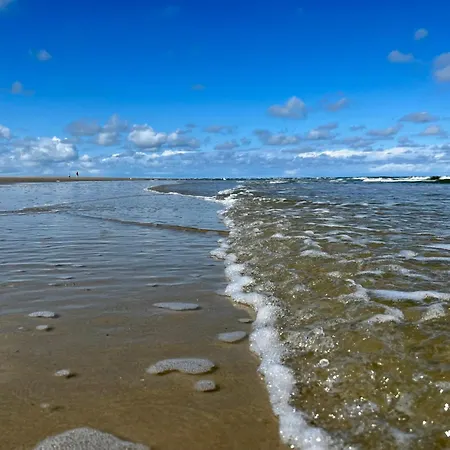 Apartment Strandflieder